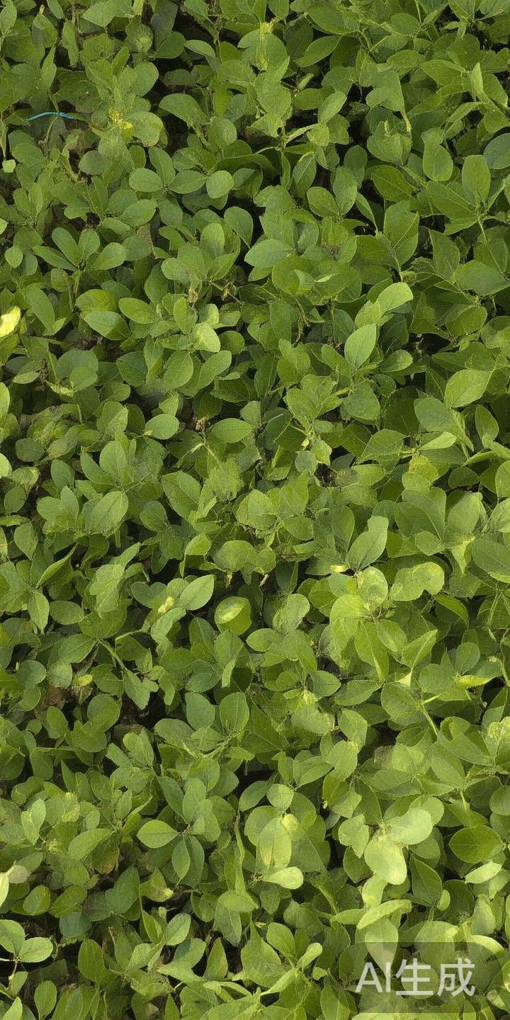 江南盛世体育：引领地区体育繁荣与全面发展新篇章